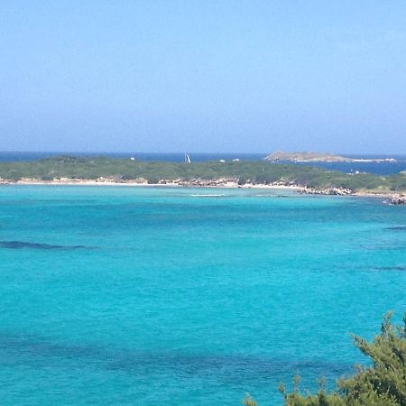 Grand Studio Route Des Sanguinaires Tres Belle Vue Mer Apartman Ajaccio  Kültér fotó
